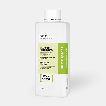 Шампунь для всех типов волос HAIR EXPRESS, 250 мл, B065133